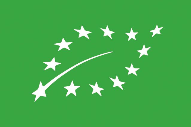 logo_europeen